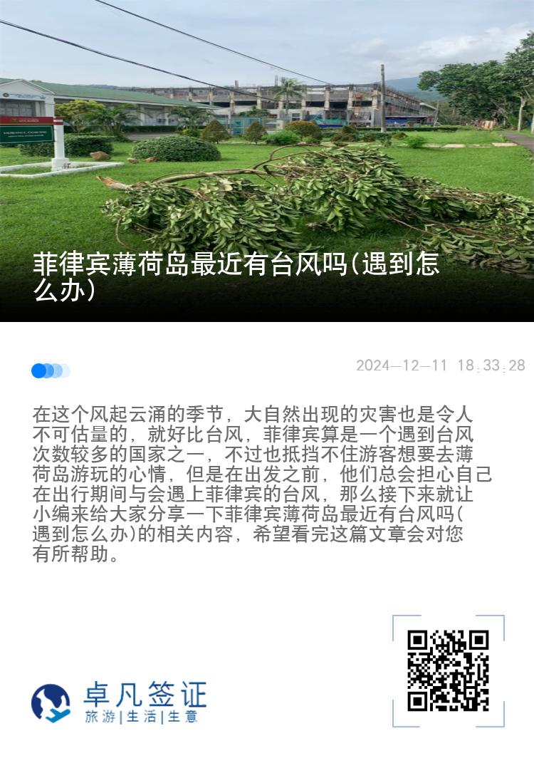 菲律宾薄荷岛最近有台风吗(遇到怎么办)